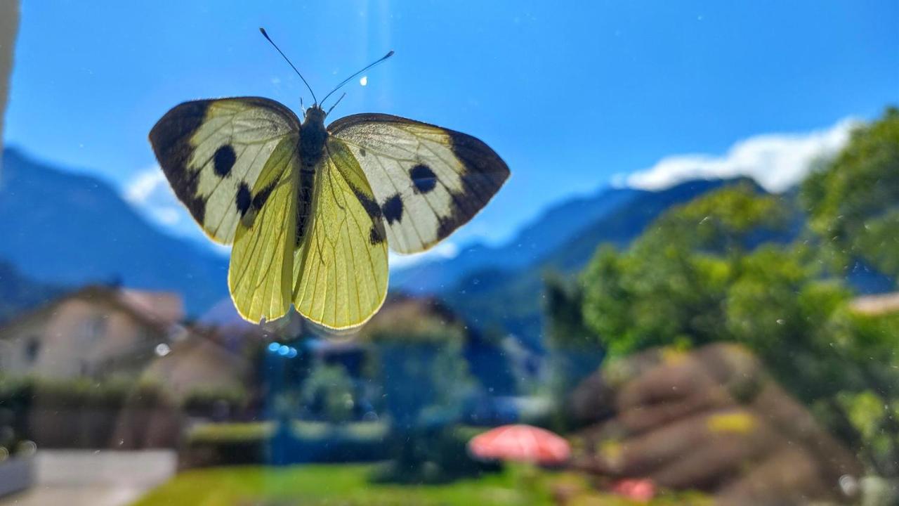 Adventure Interlaken * Unterseen